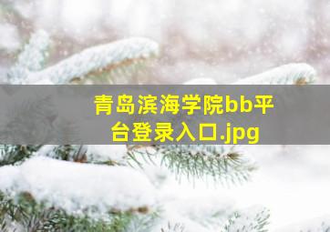 青岛滨海学院bb平台登录入口