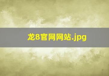 龙8官网网站