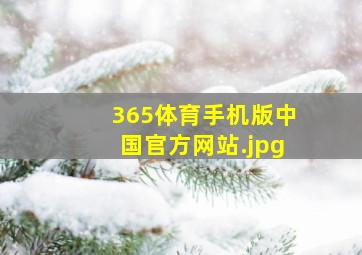 365体育手机版中国官方网站