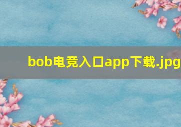 bob电竞入口app下载