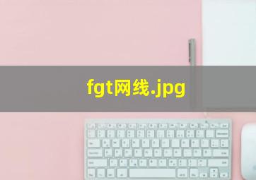 fgt网线